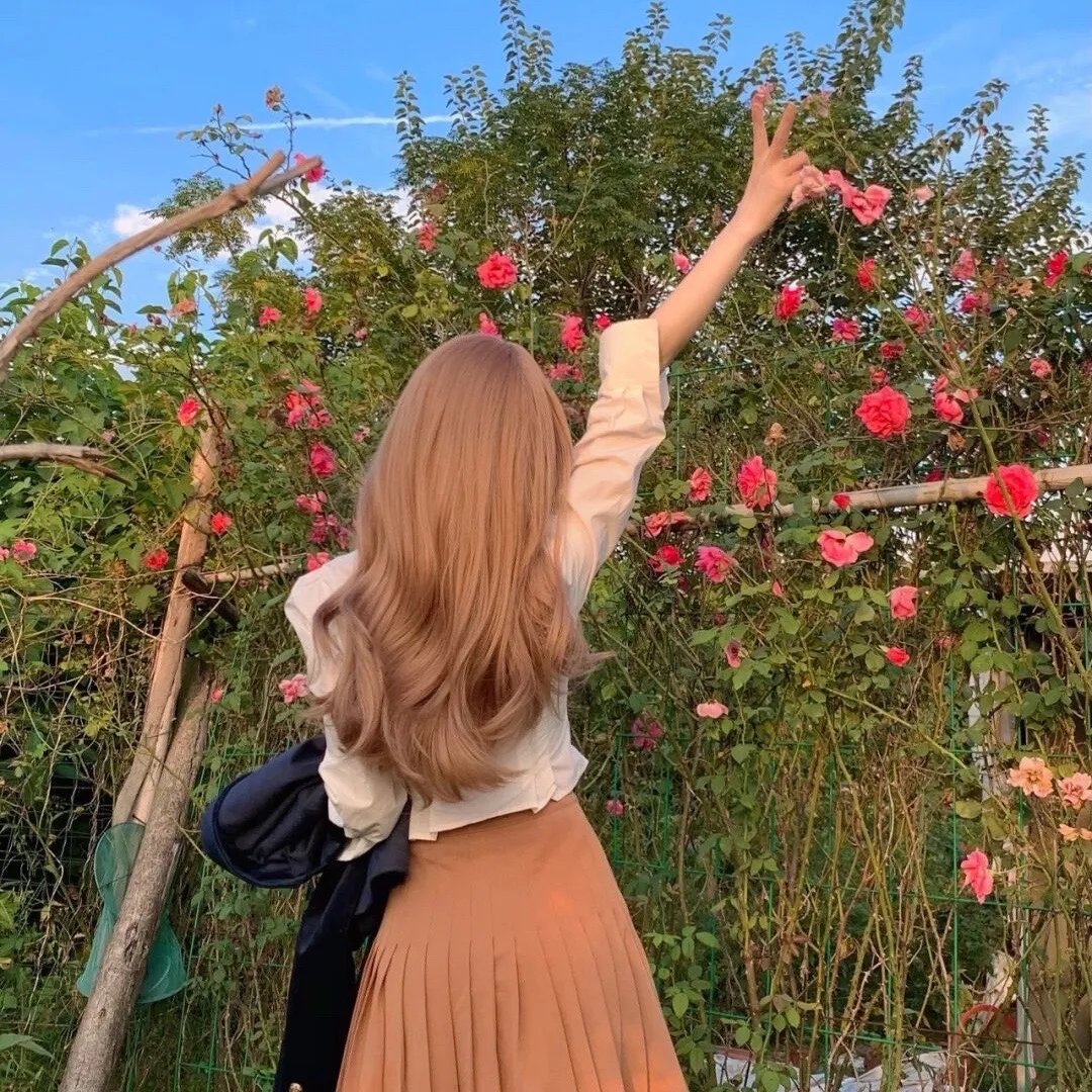 戈德堡一家第八季