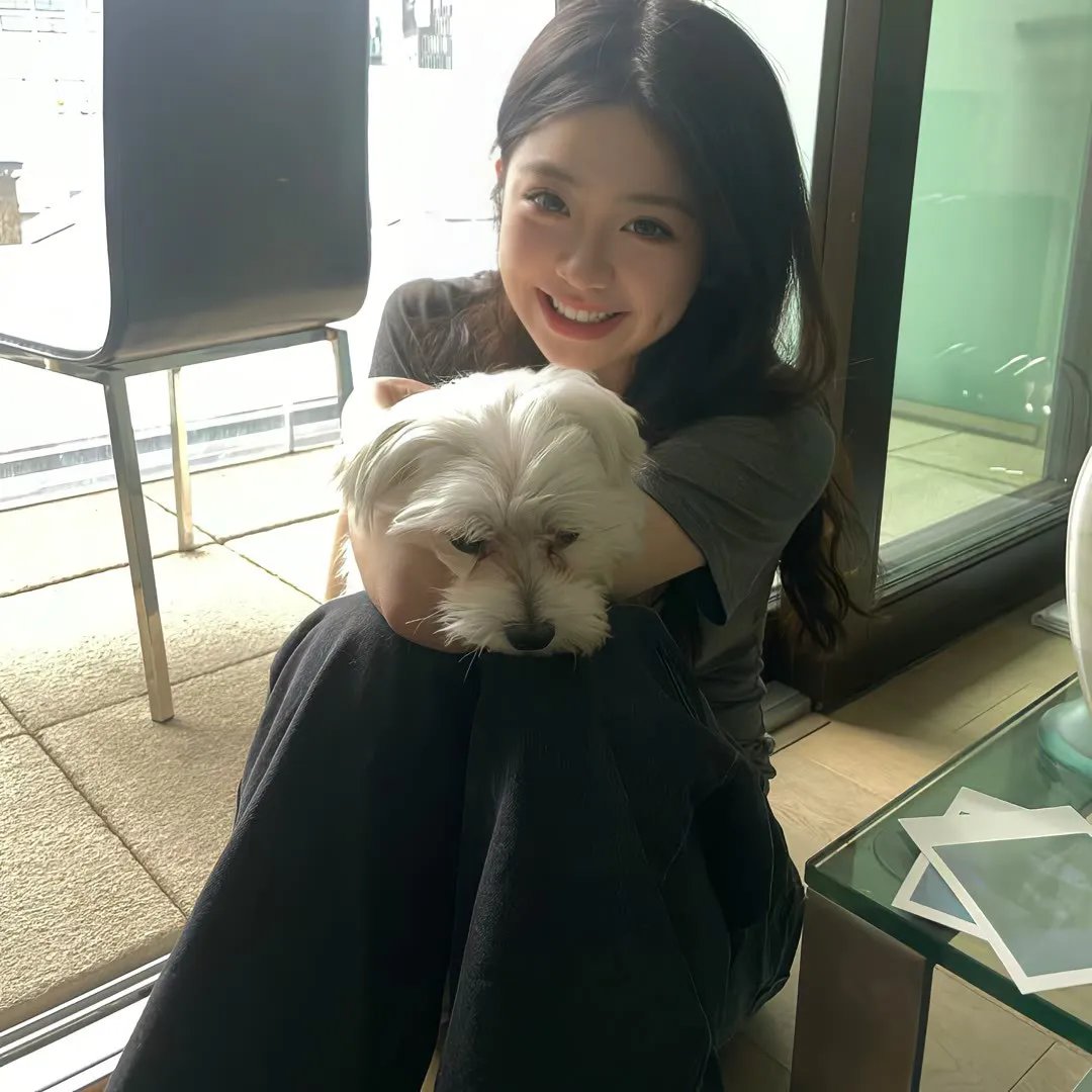 梦想的声音第三季